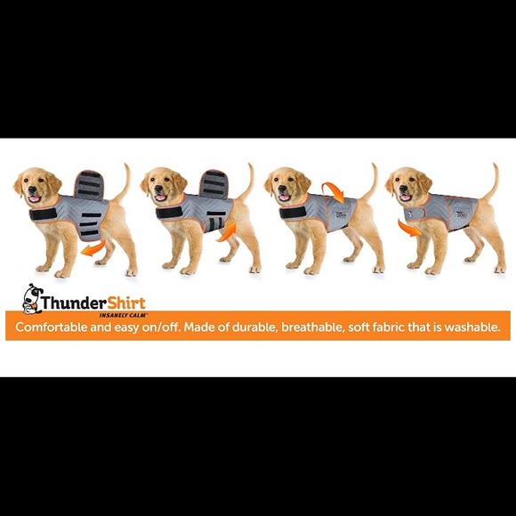 Other - DOG THUNDER VEST